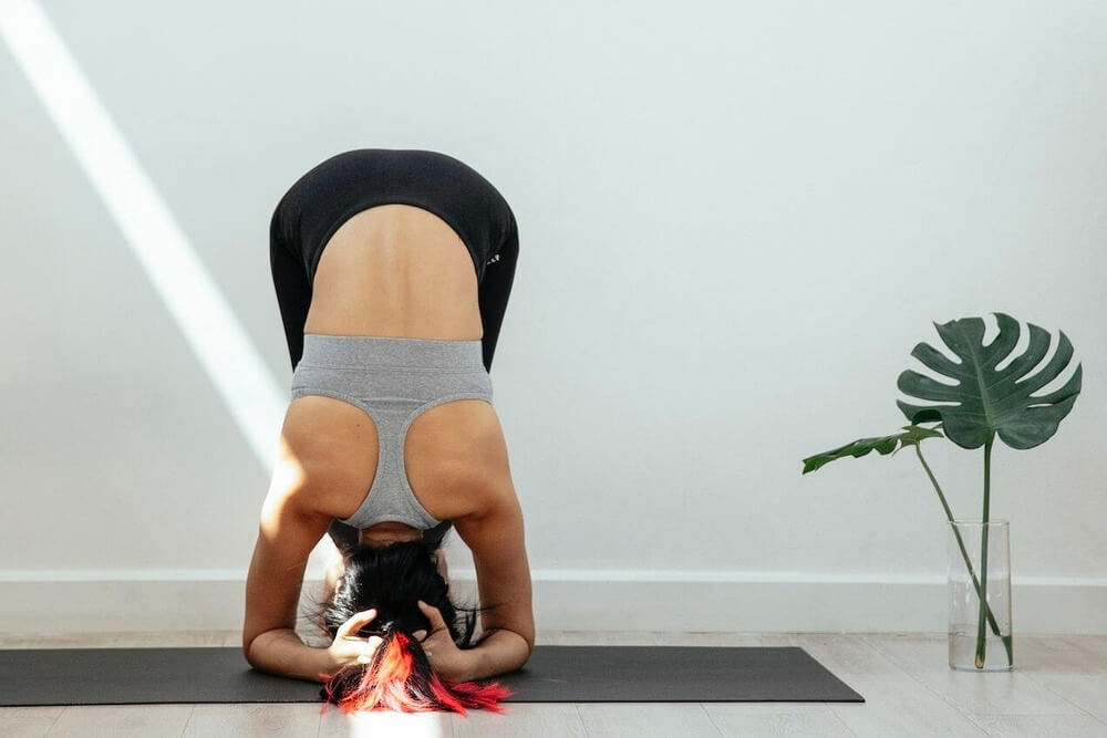 dolphin pose
