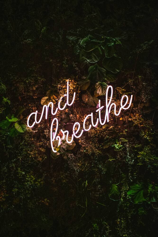 breath and our internal state