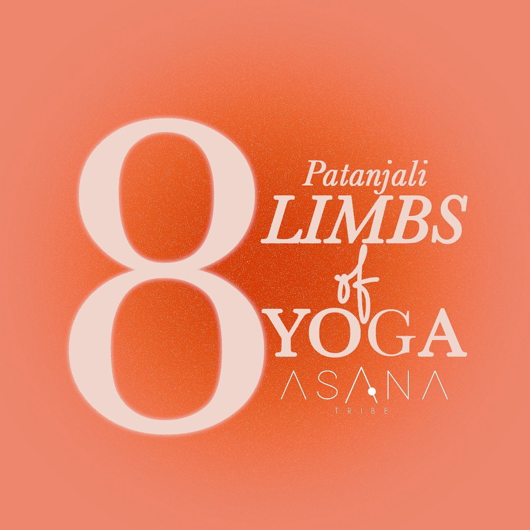 What is Ashtanga Yoga  8 Limbs of Yoga – Ashtanga Vinyasa Yoga